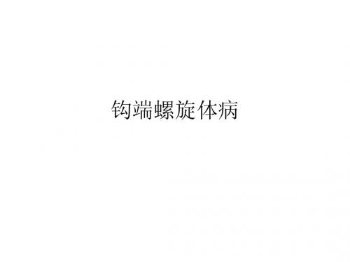 钩端螺旋体病
