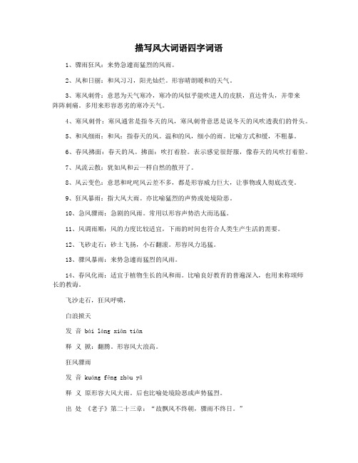 描写风大词语四字词语