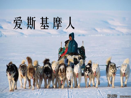 爱斯基摩人
