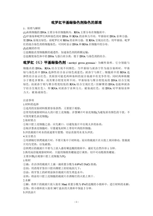 吡罗红甲基绿染色剂染色的原理