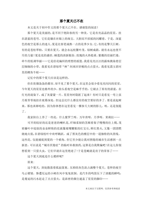 那个夏天已不在_初中作文
