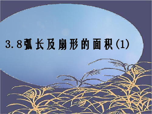 九年级数学上册3.8弧长及扇形的面积1课件新版浙教版