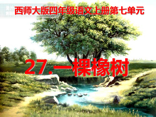 (精选)四年级语文上册 第七单元 一棵橡树课件5 西师大版