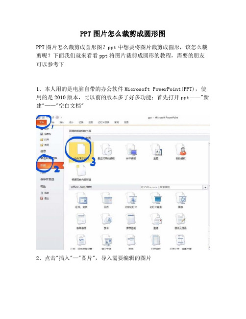 【PPT实用技巧】PPT图片怎么裁剪成圆形图