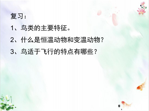 人教版八年级生物上册..哺乳动物课件新ppt