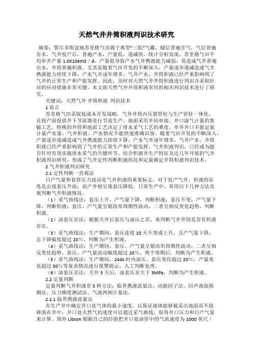 天然气井井筒积液判识技术研究