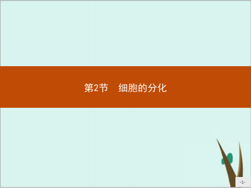 《细胞的分化》高中生物ppt优质课件人教版1