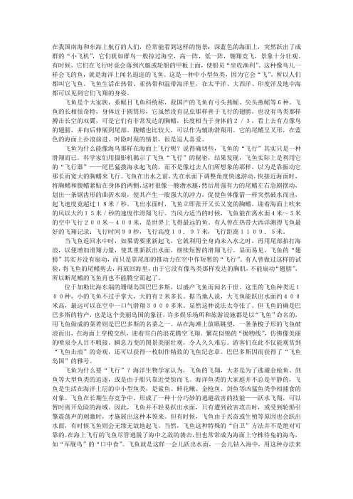 海洋里的“飞行家”-教学教案