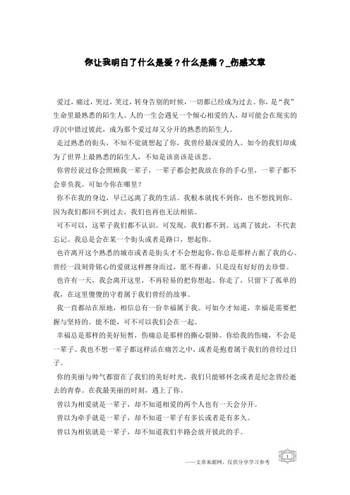 你让我明白了什么是爱？什么是痛？-伤感文章