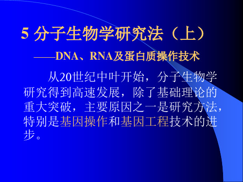 现代分子生物学课件-第五章