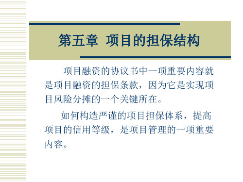 担保结构