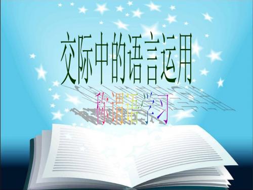 交际中的语言运用