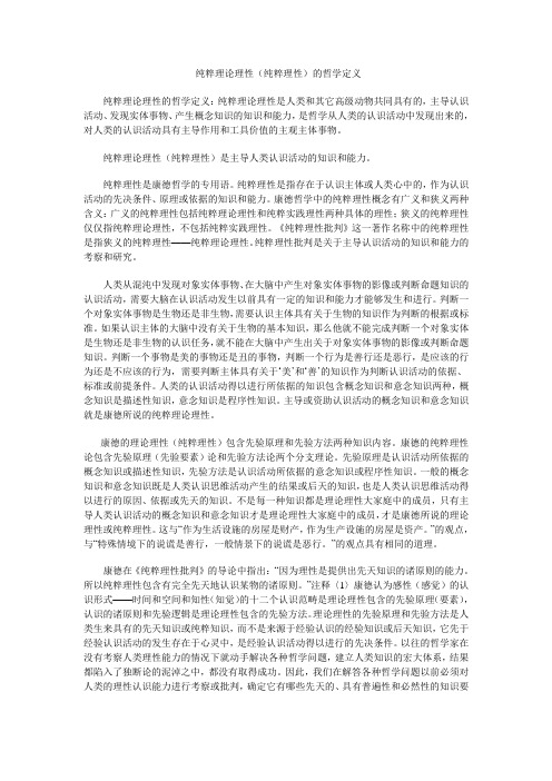 纯粹理论理性