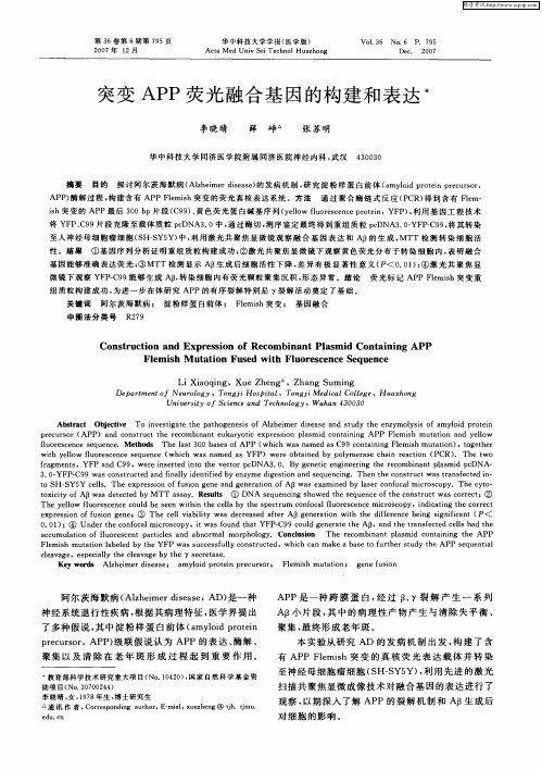 突变APP荧光融合基因的构建和表达