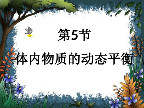 体内物质的动态平衡完美课件-ppt下载