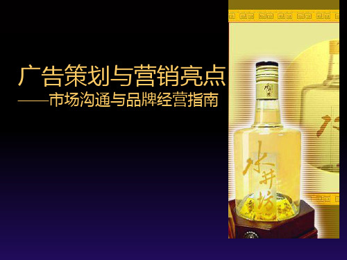 广告策划与营销亮点PPT课件