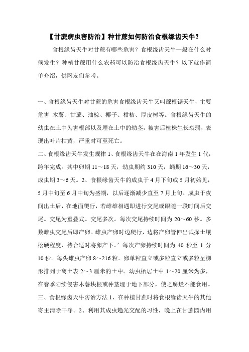 【甘蔗病虫害防治】种甘蔗如何防治食根缘齿天牛？