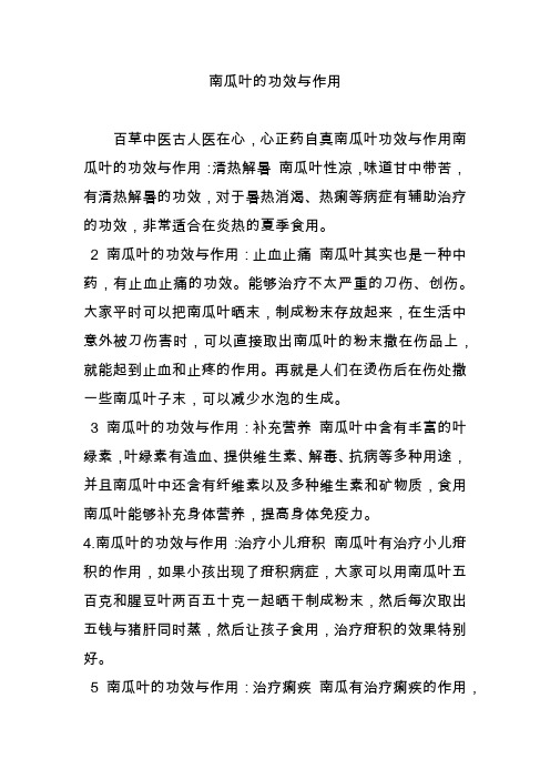 南瓜叶的功效与作用