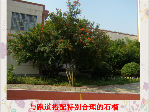 浙教版科学八年级下《各种各样的土壤》ppt精美课件3