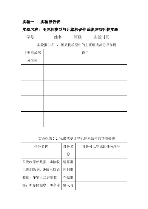 实验报告
