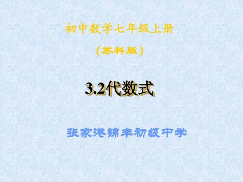3.2代数式