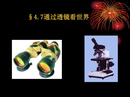 八年级物理通过透镜看世界和彩色世界