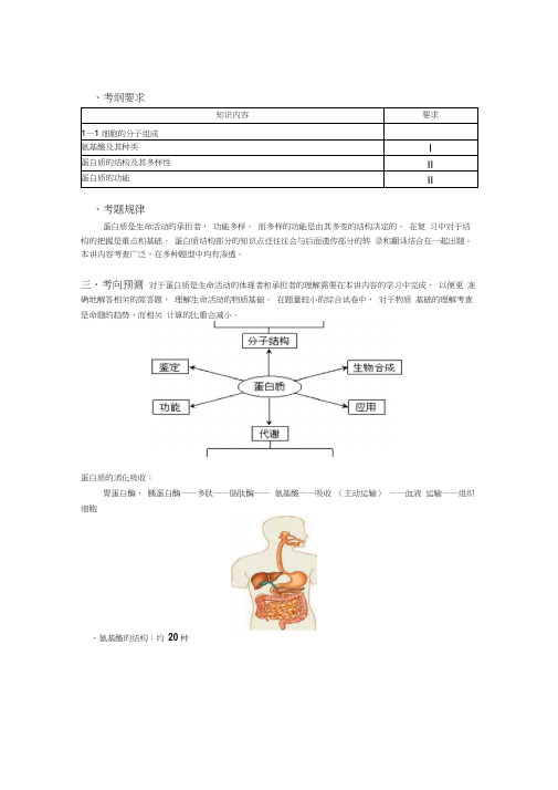 人教版新课标高考生物一轮复习教案---蛋白质