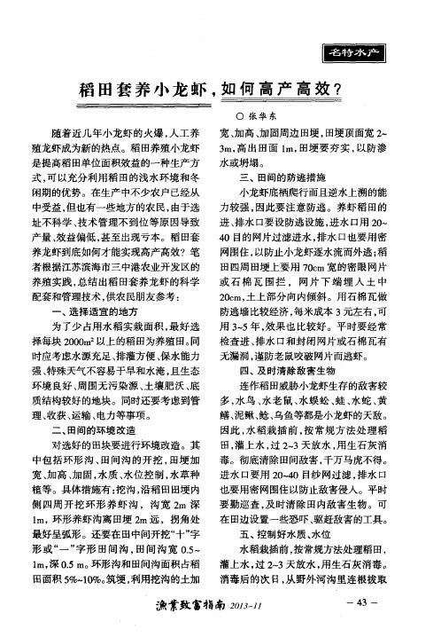 稻田套养小龙虾,如何高产高效？