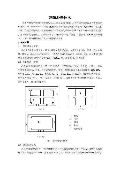 稻鳖种养技术