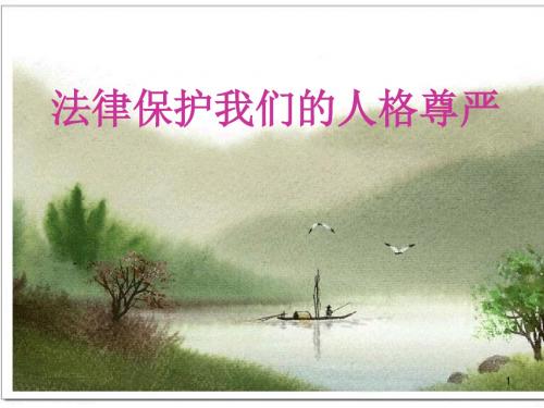 法律保护我们的人格尊严ppt课件