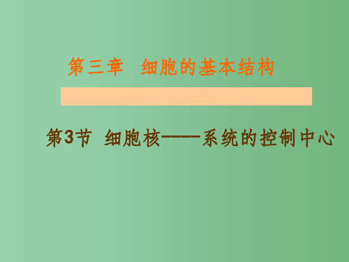 高中生物 3.3细胞核-系统的控制中心课件2 新人教版必修1