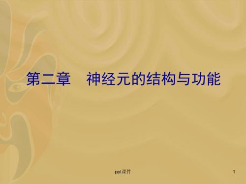 第2章 神经元的结构与功能  ppt课件