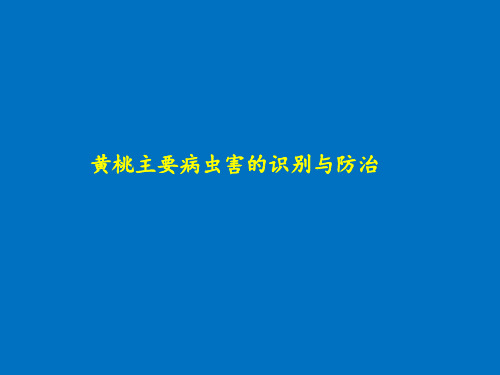 黄桃主要病虫害的识别与防治 课件