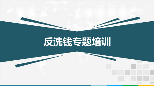 保险公司反洗钱专题培训课件