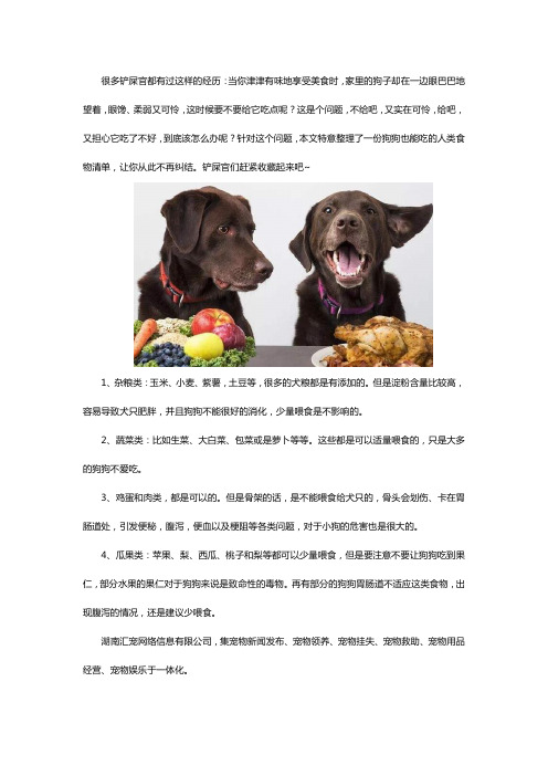宠物狗可以吃什么人类食物