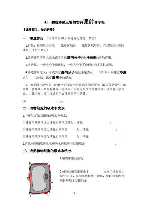 物质跨膜运输的实例导学案