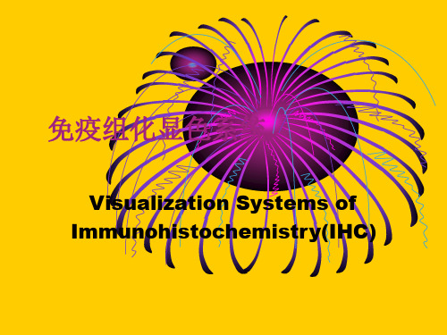 免疫组化显色系统 共31页