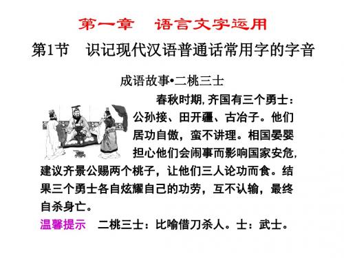 高考复习语言文字运用：识记现代汉语普通话常用字的字音 PPT课件