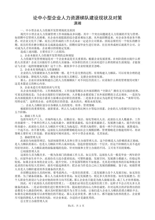 论中小型企业人力资源梯队建设的问题及对策