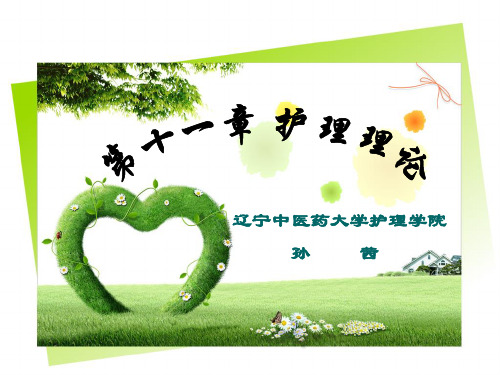 第十一章护理理论11罗伊的适应模式