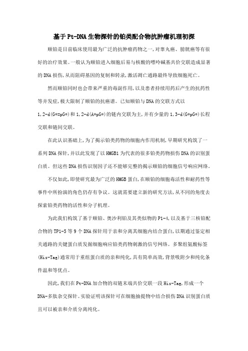 基于Pt-DNA生物探针的铂类配合物抗肿瘤机理初探