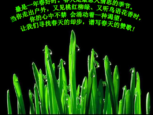 第二单元 综合性实践活动 寻觅春天的踪迹PPT课件