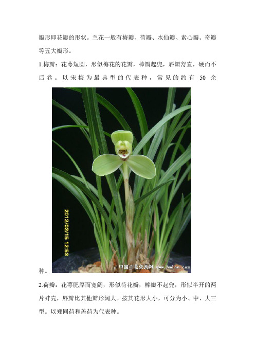 兰花瓣形