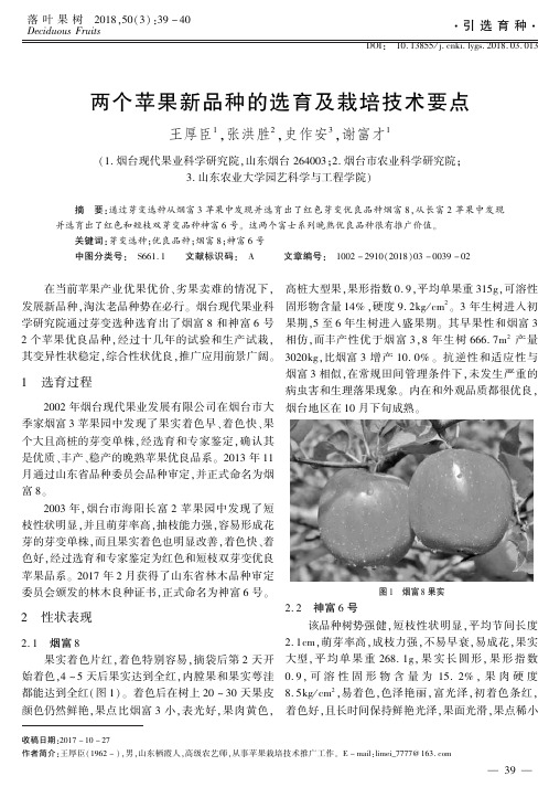 两个苹果新品种的选育及栽培技术要点