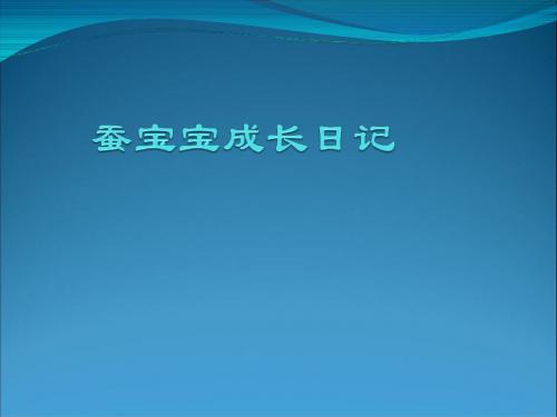 蚕的生长过程