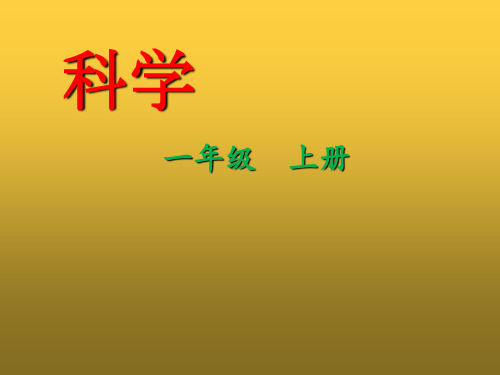 粤教版科学《校园里的植物》PPT课件完美版1