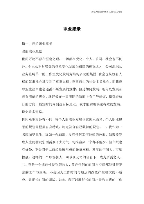 职业愿景
