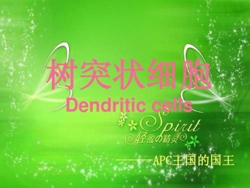 Dendritic cells