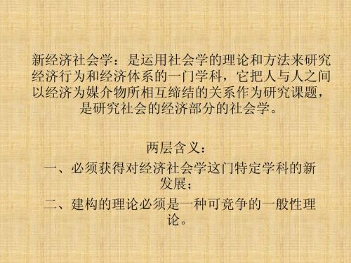 新经济社会学
