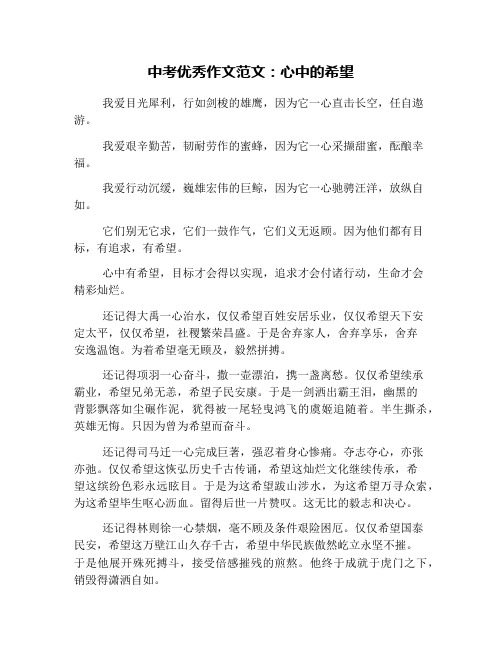 中考优秀作文范文：心中的希望